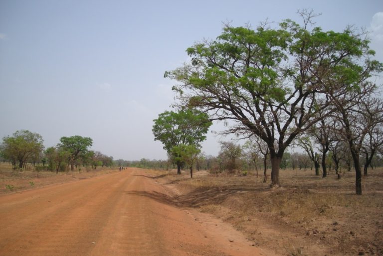 各気候の成帯土壌の種類と分布 旅と地理